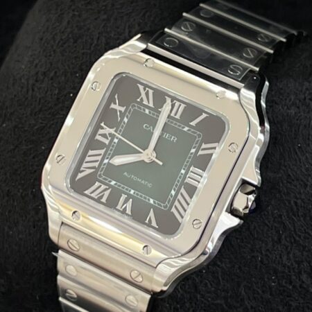Cartier Santos Steel Green Dial | WSSA0061