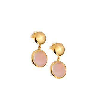 Earrings The Goodies